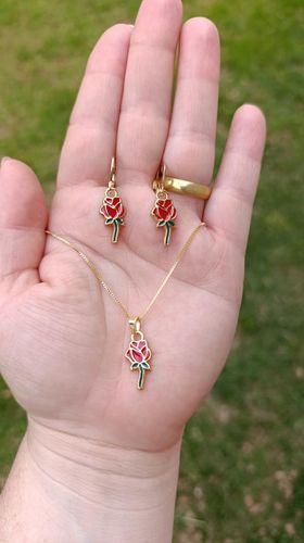 Conjunto OURO ROSA BELA E A FERA
