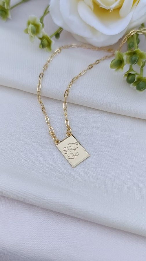 Colar ouro Plaquinha pet